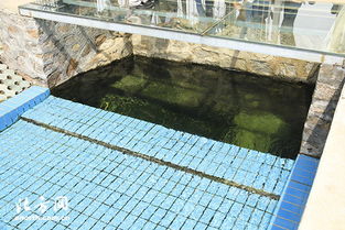 天津寶坻區第一污水處理廠 MBR膜工藝驅動提標擴建，構筑土壤污染治理新防線